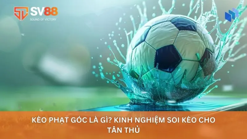 Kèo Phạt Góc Là Gì? Kinh Nghiệm Soi Kèo Cho Tân Thủ