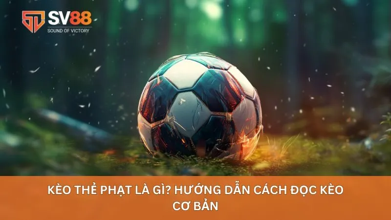 Kèo Thẻ Phạt Là Gì? Hướng Dẫn Cách Đọc Kèo Cơ Bản